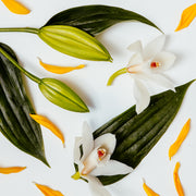 Diffuser Refill Oil - White Lily & Ylang Ylang
