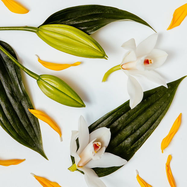 Diffuser Refill Oil - White Lily & Ylang Ylang
